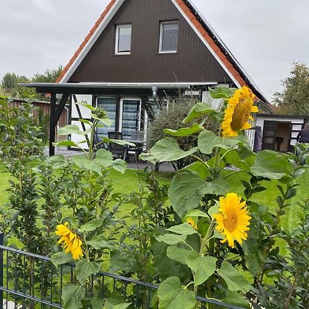 Ferienhaus Kiebitz Dorumer Neufeld Kültér fotó