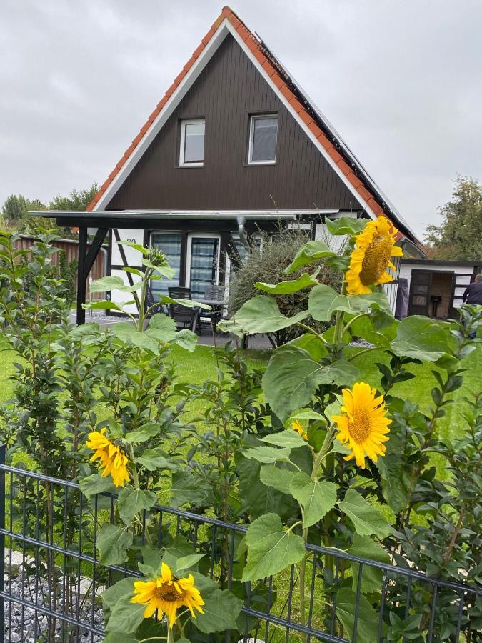 Ferienhaus Kiebitz Dorumer Neufeld Kültér fotó